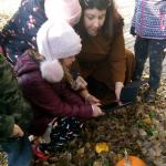 Aranyecset 2021-2022, féléves értékelés