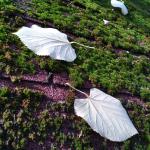 Aranyecset 2021-2022, féléves értékelés