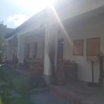 Aranyecsettel a tehetség varázslatos világ!