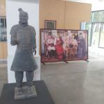 Aranyecsettel a tehetség varázslatos világ!